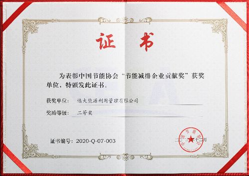 遠(yuǎn)大能源創(chuàng)新突破，新興能源技術(shù)研發(fā)榮膺中國節(jié)能協(xié)會創(chuàng)新獎